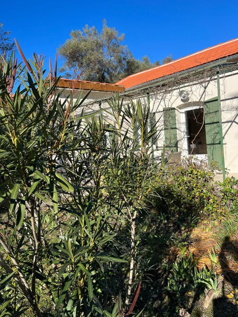 Mazet Chantilly, 3 étoiles Gîtes de France, Alès