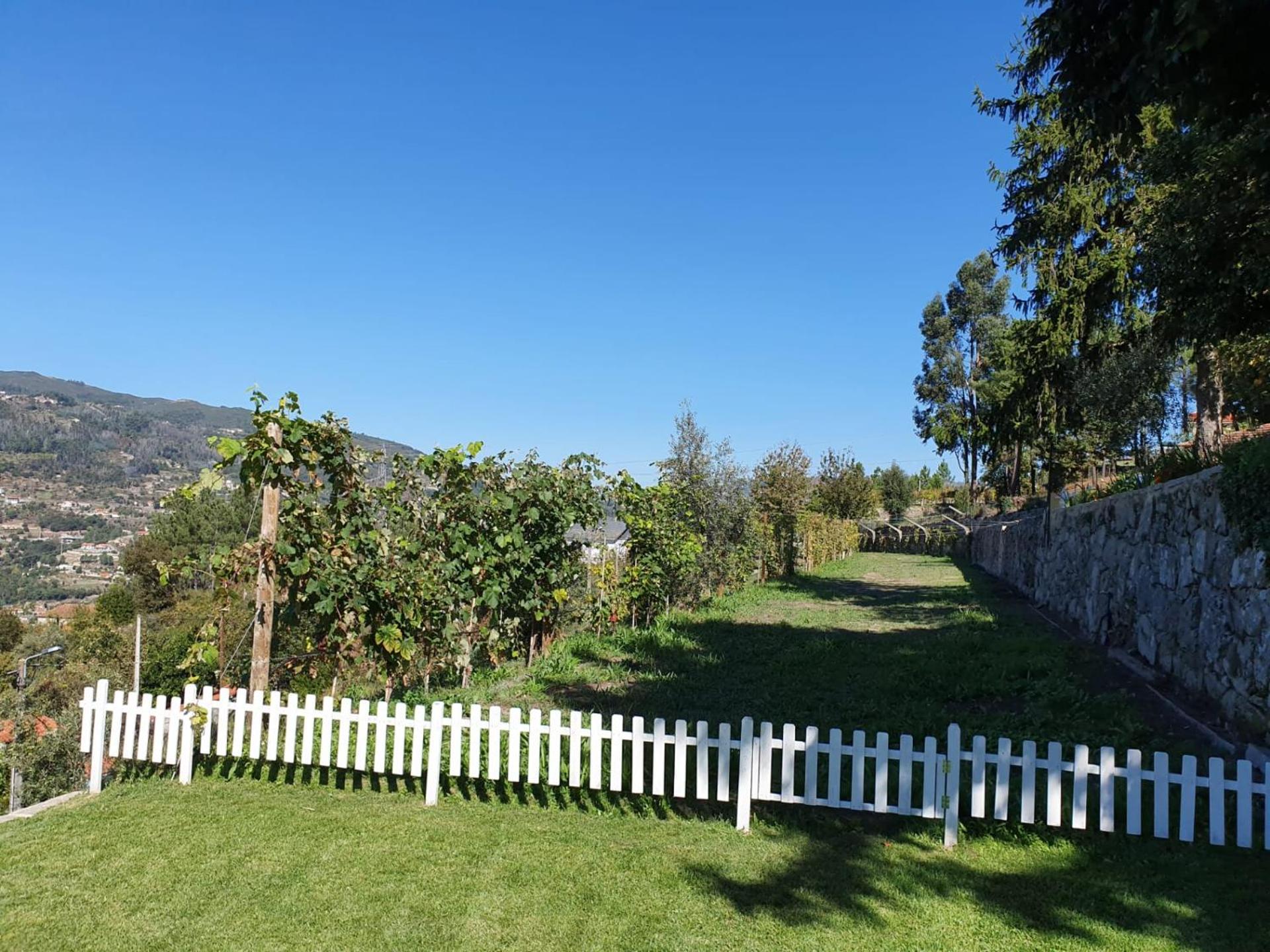 Casa de Campo - Cinfães do Douro