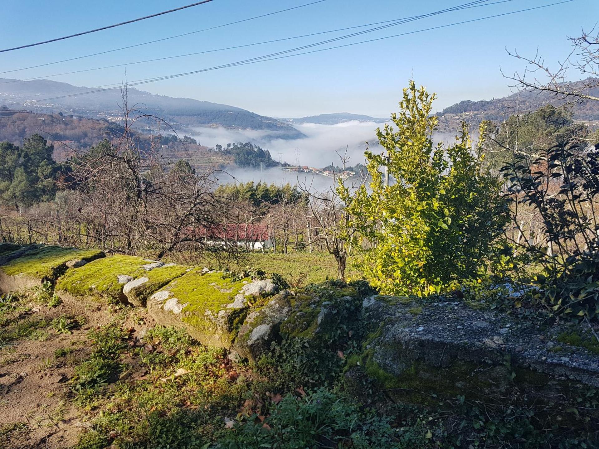 Casa de Campo - Cinfães do Douro