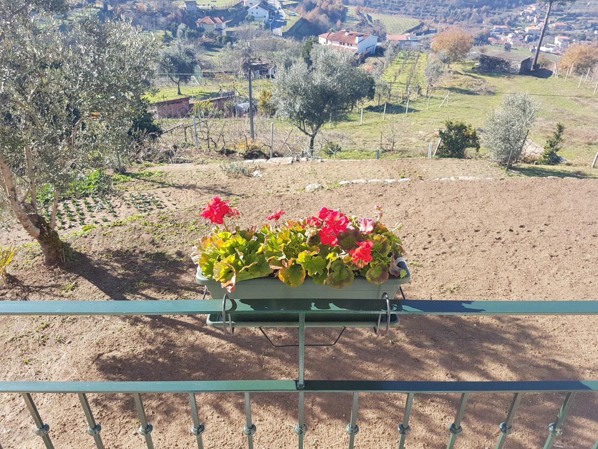 Casa de Campo - Cinfães do Douro