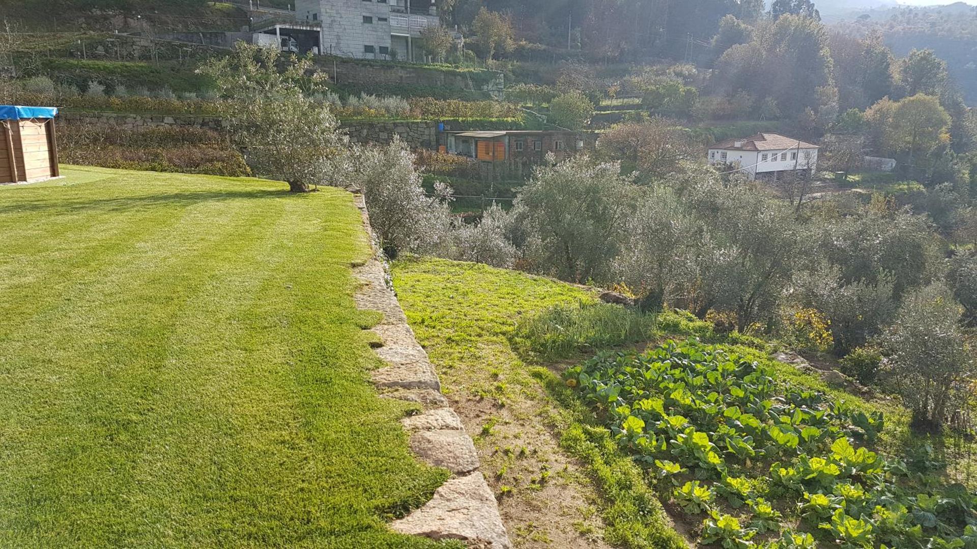 Casa de Campo - Cinfães do Douro