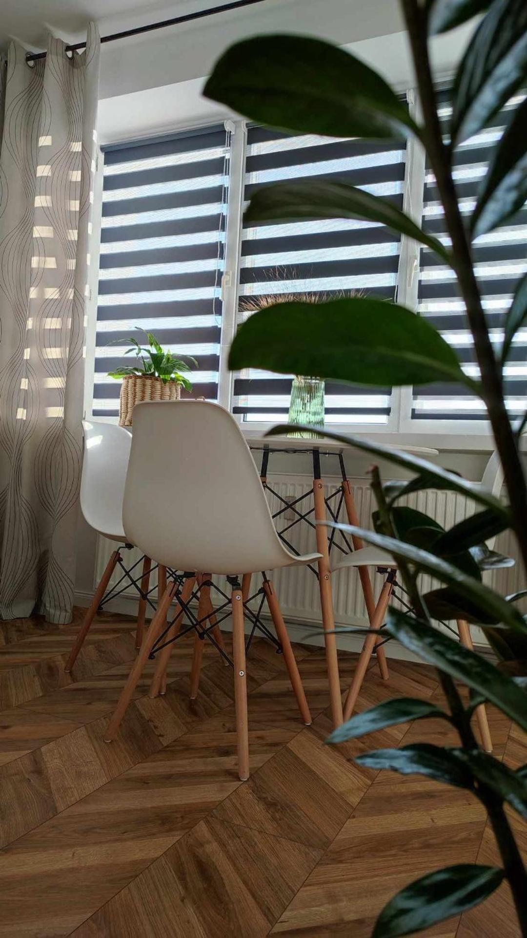 Apartamenty Urban Concept