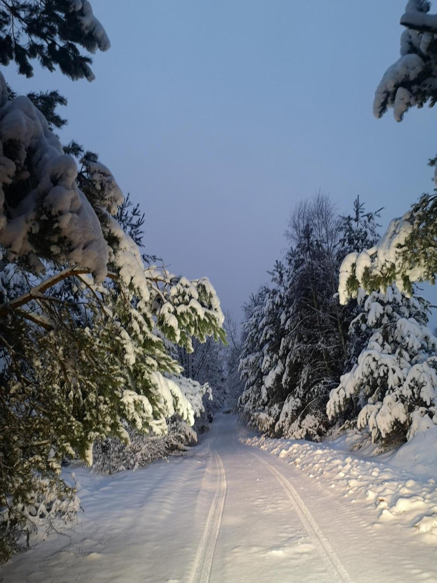 Domek pod lasem podlaskie