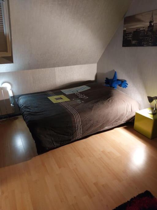 bel appartement 50 m2 aux portes de STRASBOURG de 1 à 5 personnes chez particuliers avec 2 sdb coin cuisine-repas et kitchinette Prix négociable pour 1 personne