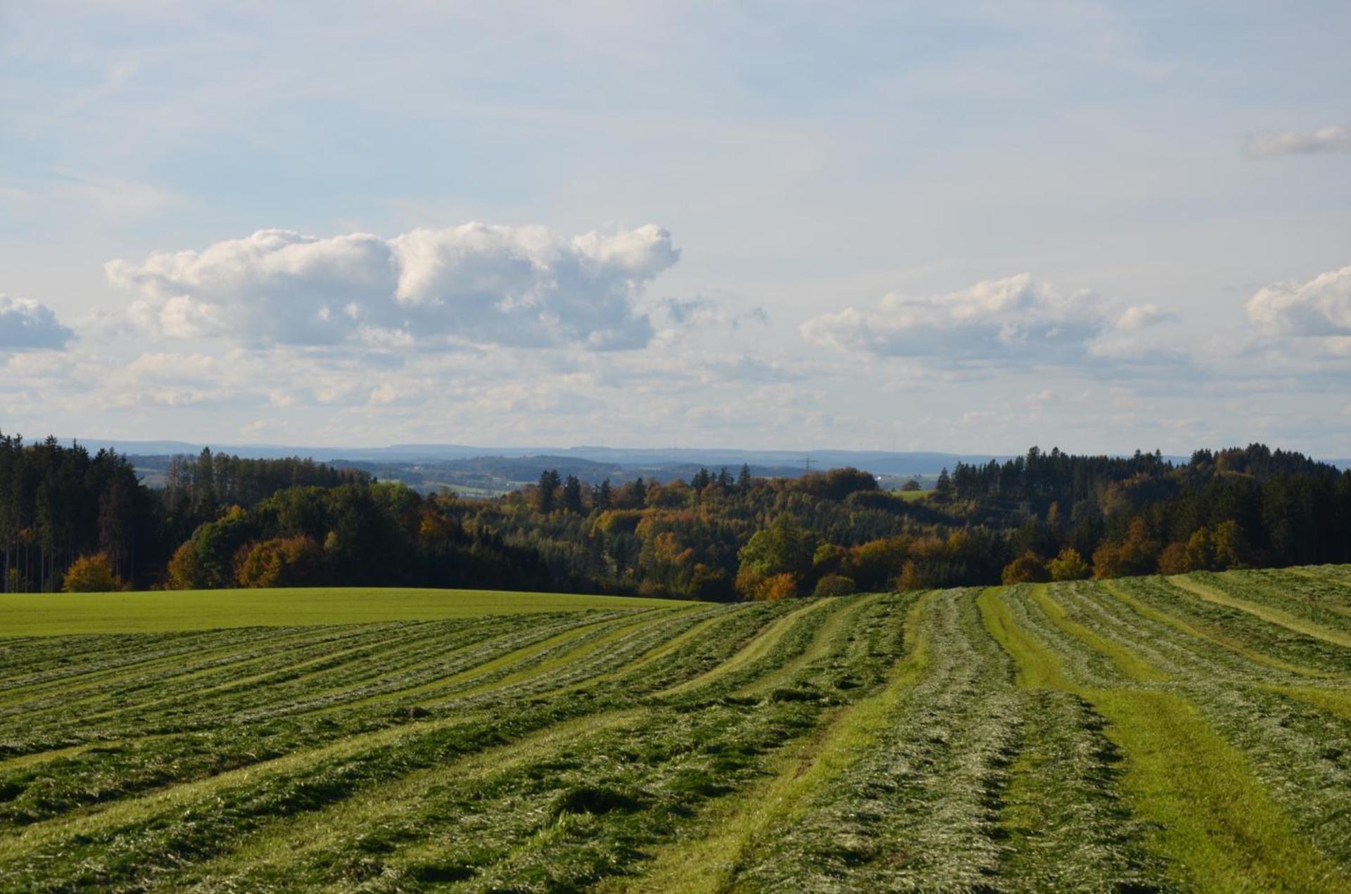 Landluft Ferien - Wohnung Morgentau
