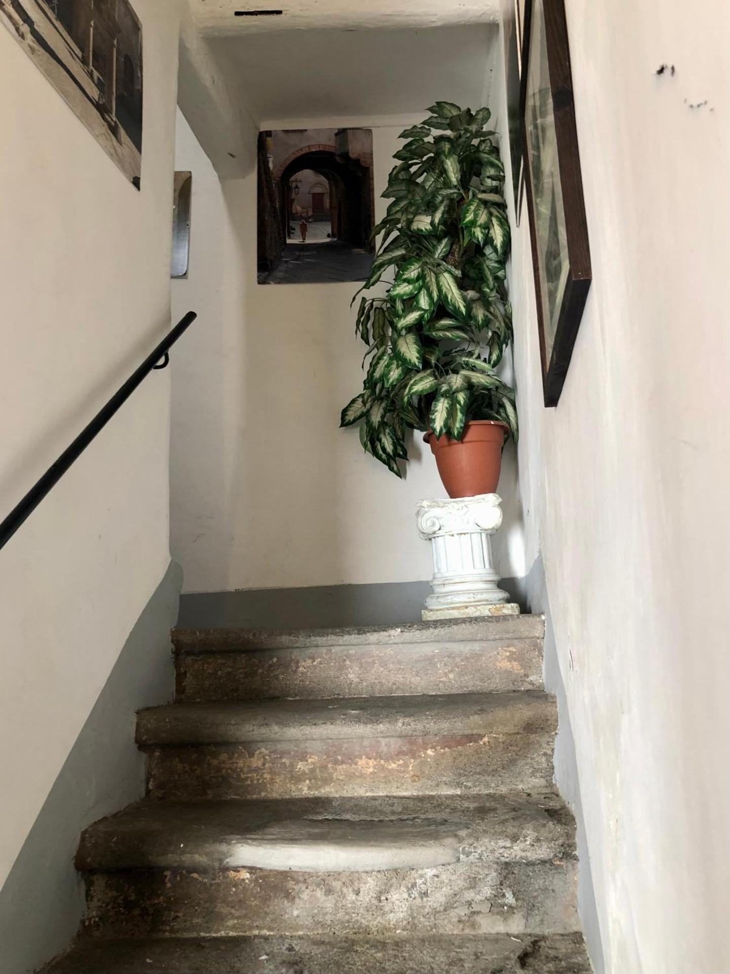 Torre degli Alessandri