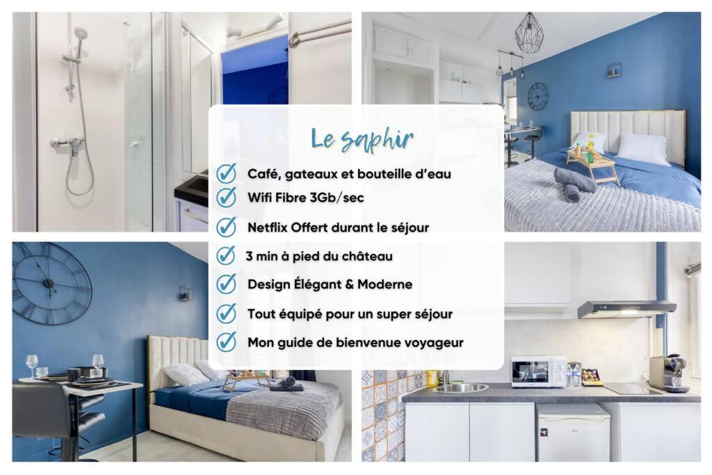 Guest loc-Le Saphir-3min château