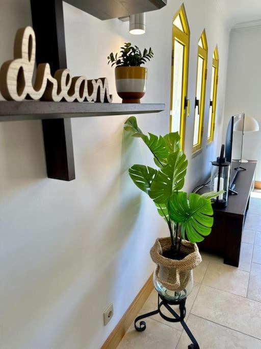 TOM's House - T2 Sea View