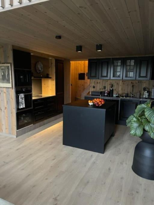 Moderne hytte ved sjøen med badstue