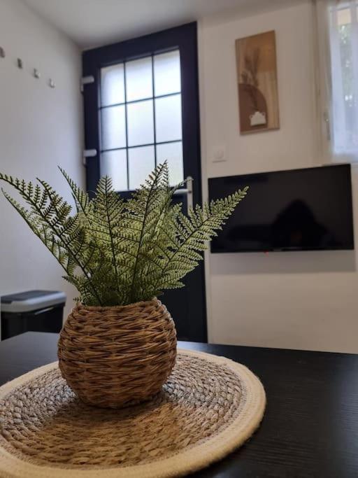 Agréable Logement / Netflix