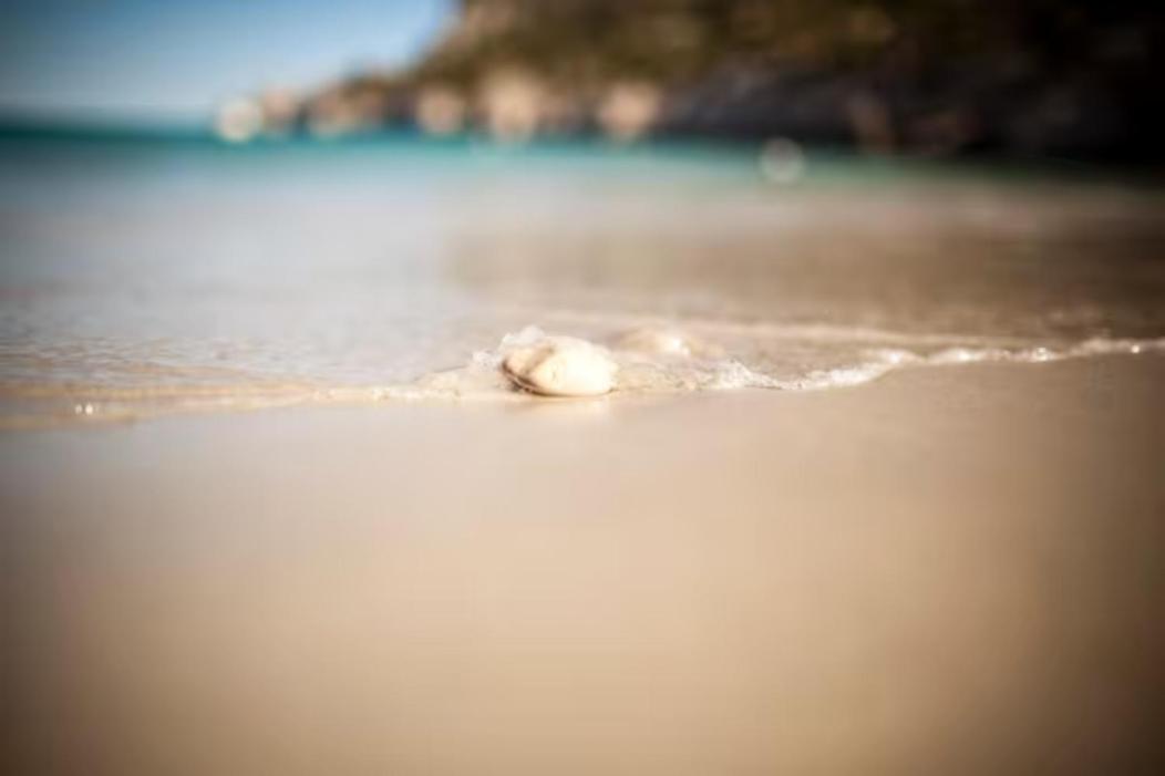 Charmante Escale au Cœur du Panier près Vieux Port