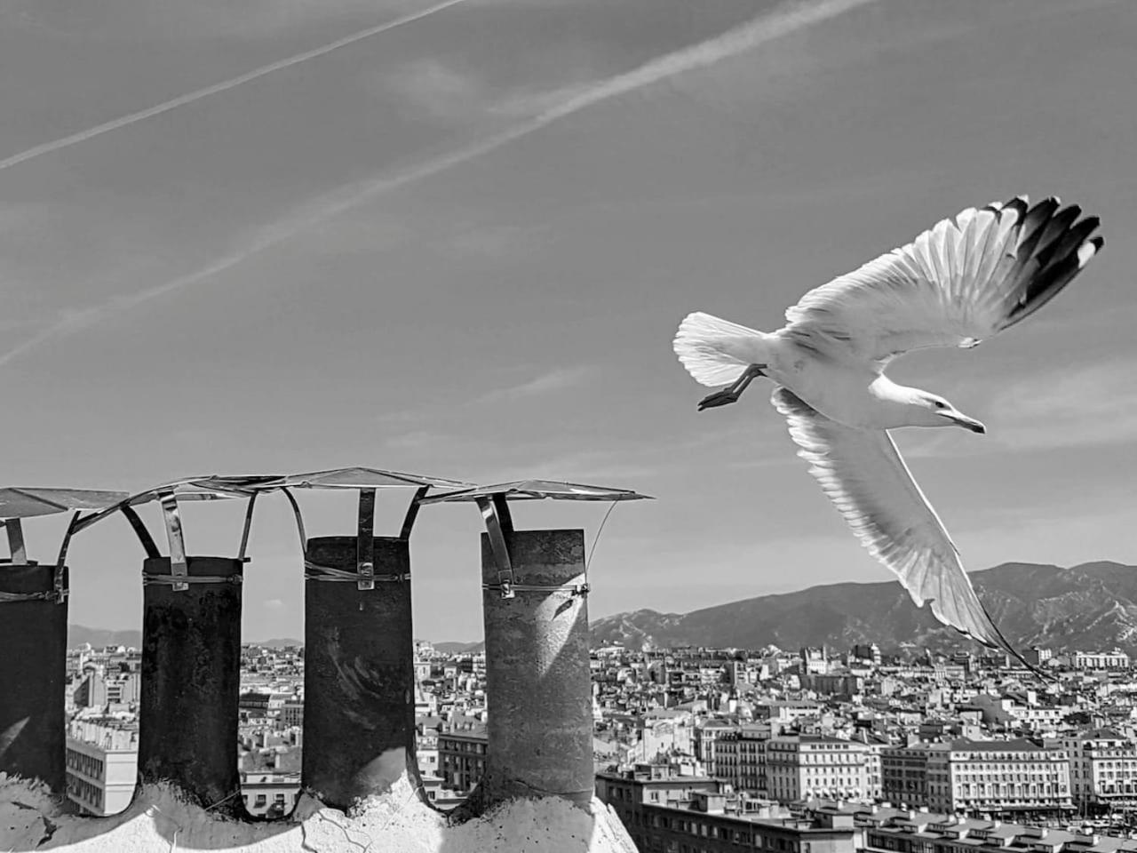 Charmante Escale au Cœur du Panier près Vieux Port
