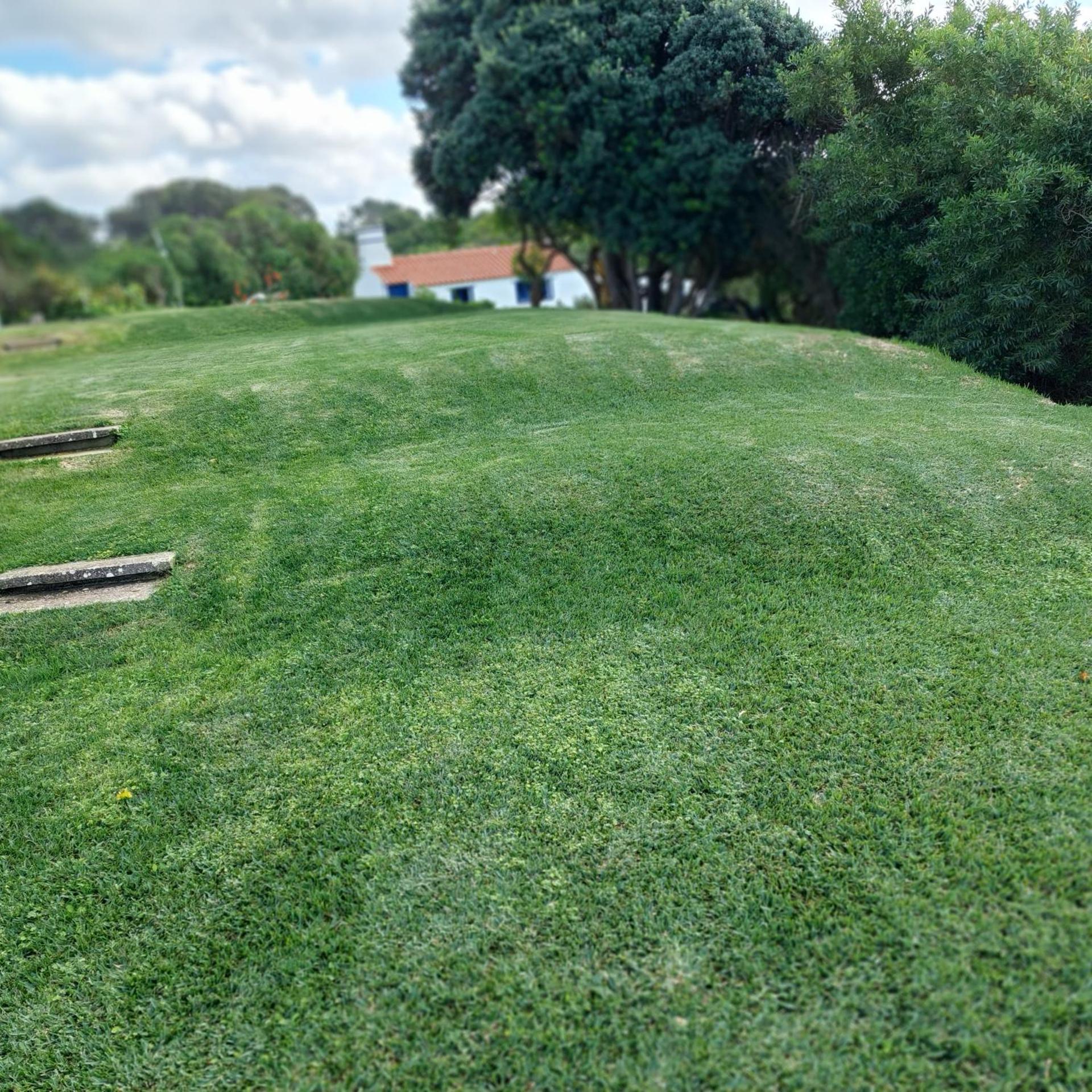 Herdade AMÁLIA RODRIGUES