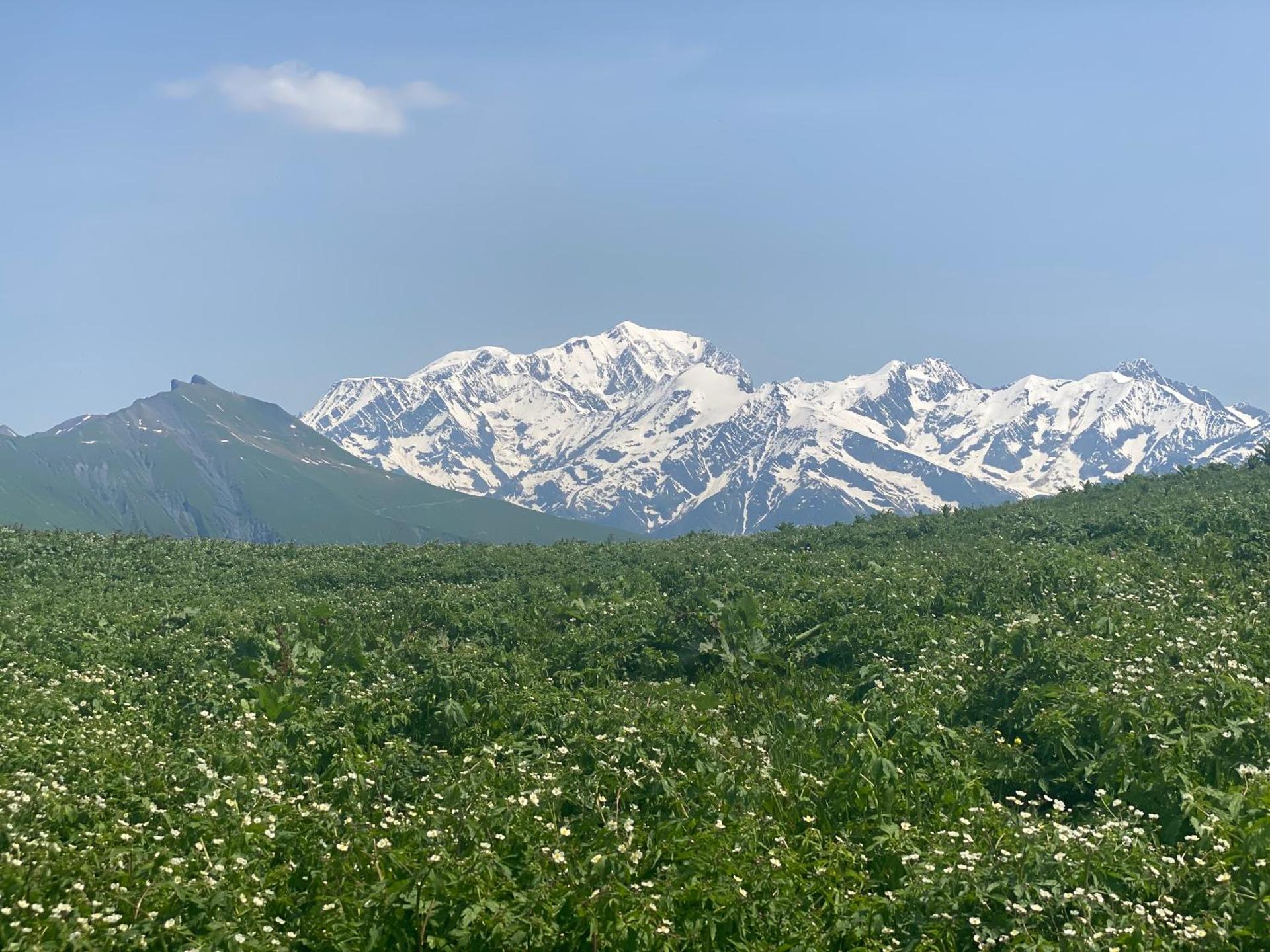 Chez Laurette et Louis