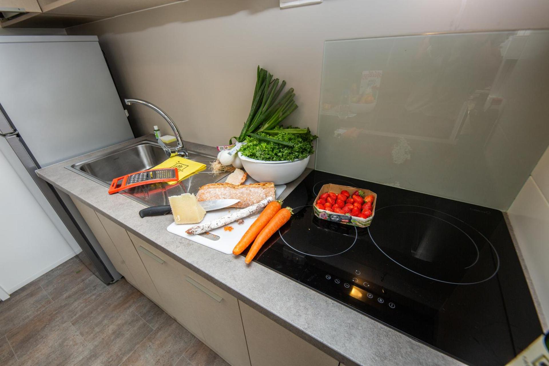 Camping Bellsol Pets