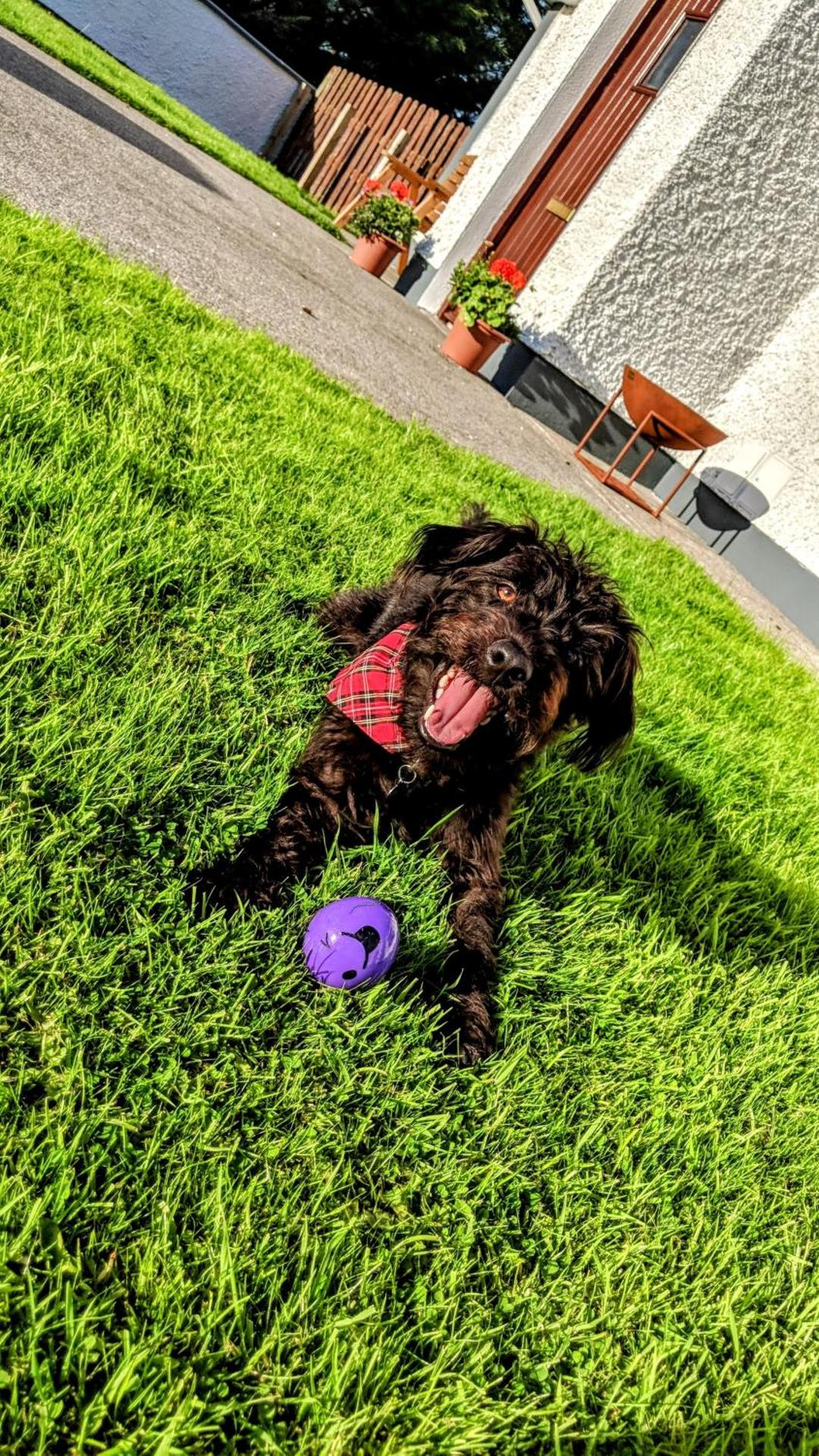 Wild Atlantic Haven, cosy home nr. Ballina & Beach