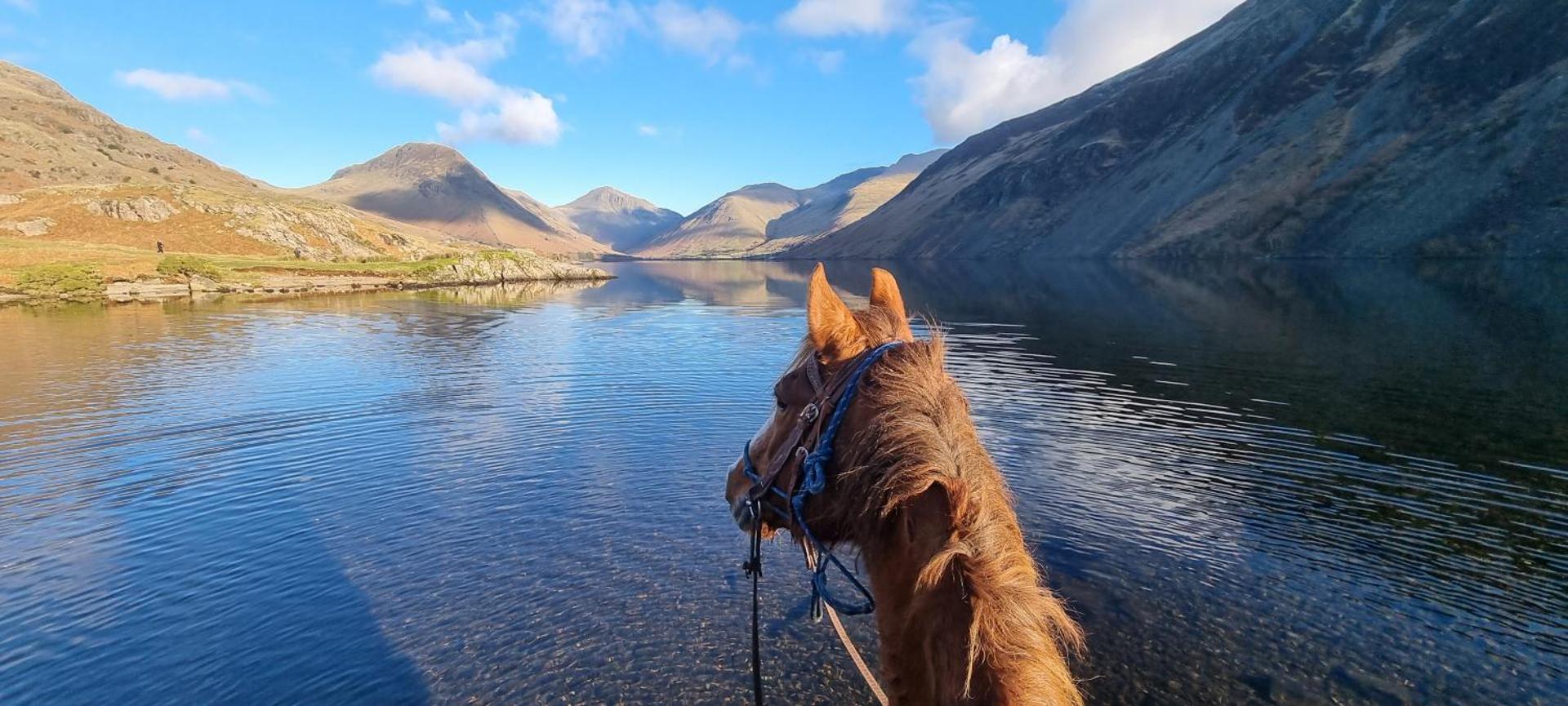 Windsor Cottage on The Big "W" Ranch