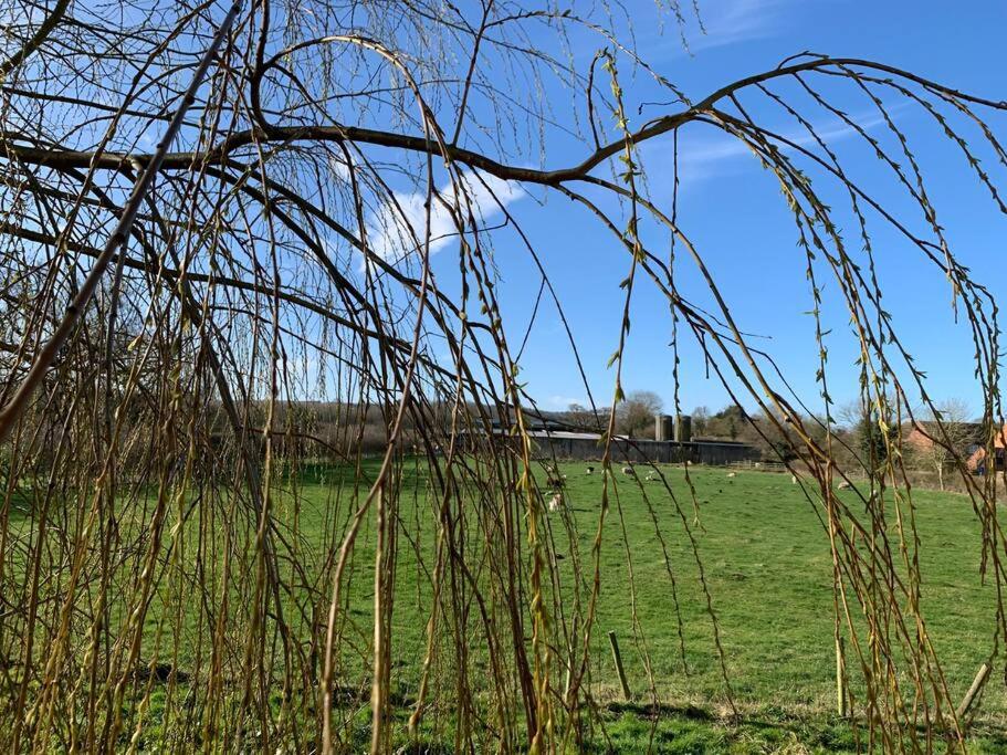 The Hideaway: Farnsfield (5 mins from Southwell)