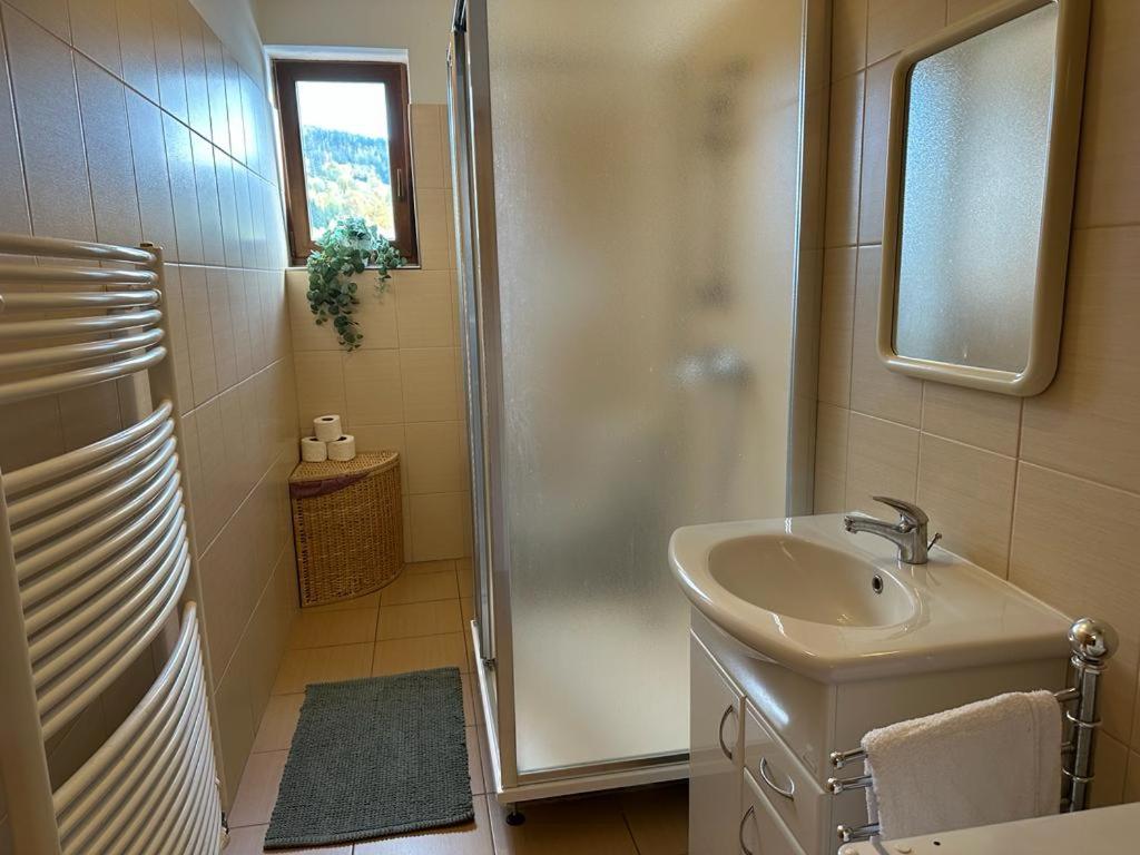 Apartmán Železná Ruda