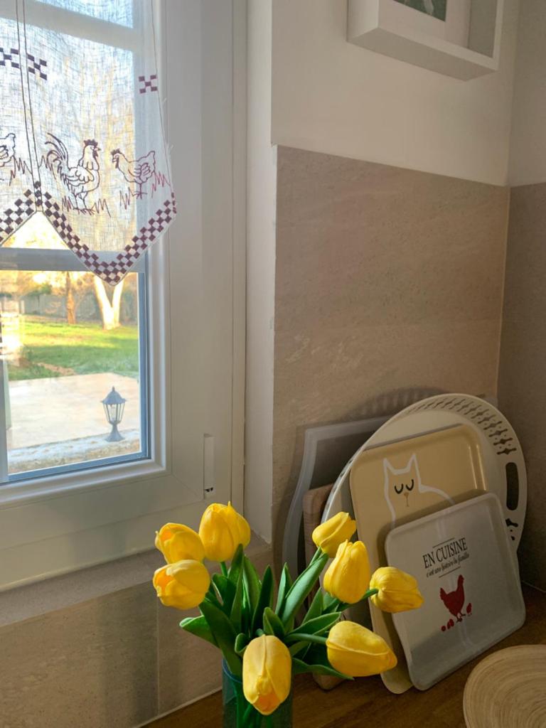 F&B's Garden 10 min Disneyland Paris