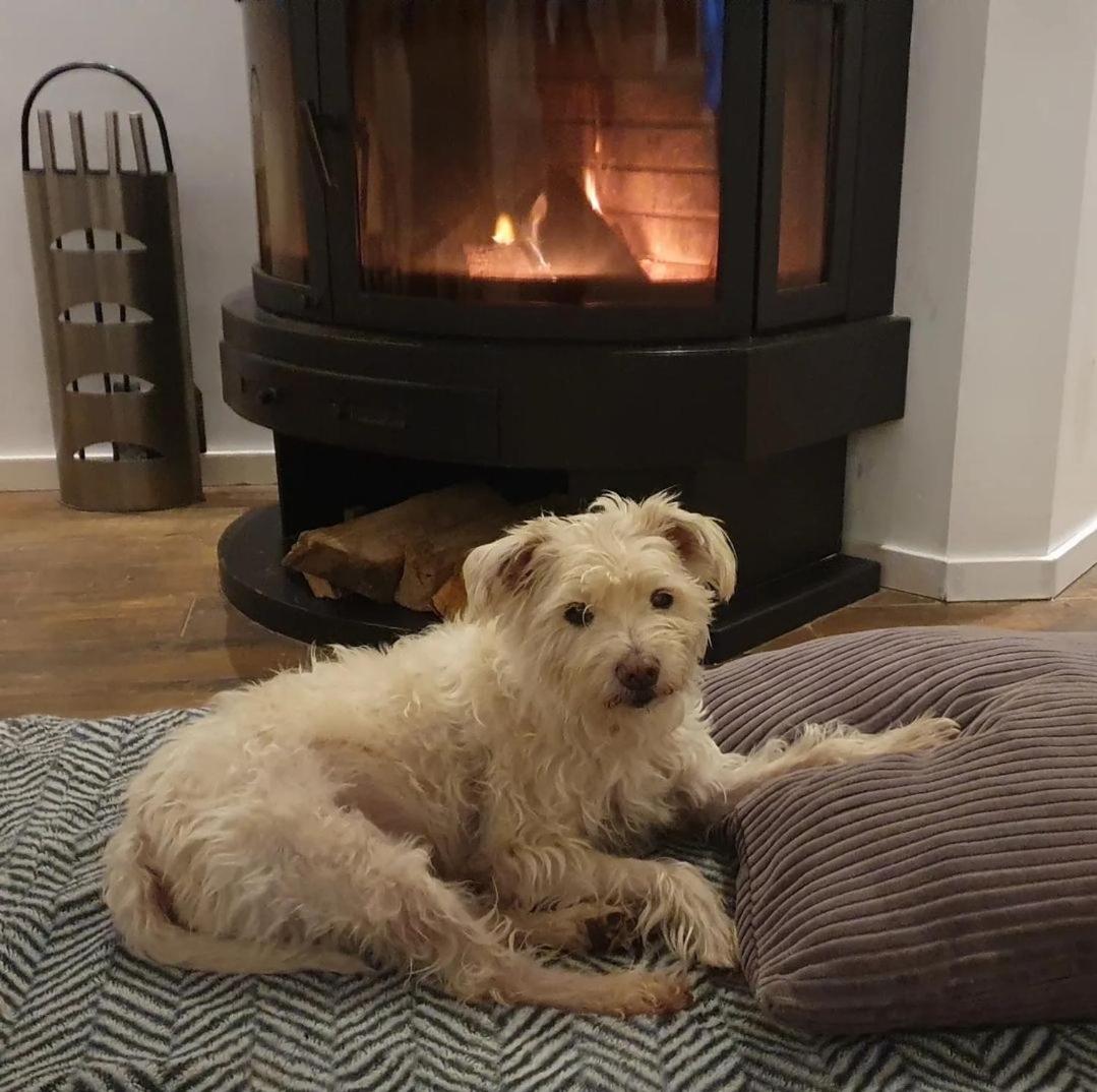 Lake House 74, luxury accommodation ir Sauna