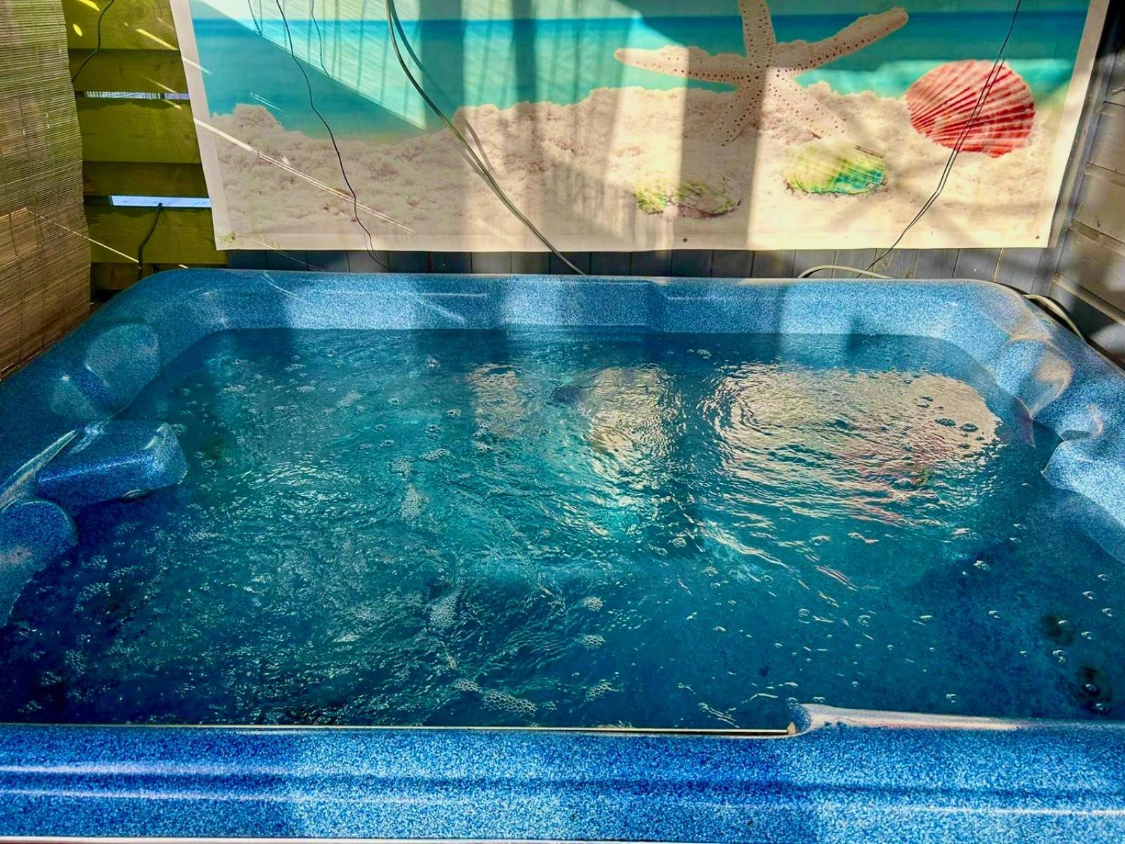 Cozy comfortable house with jacuzzi & private garden near Amsterdam