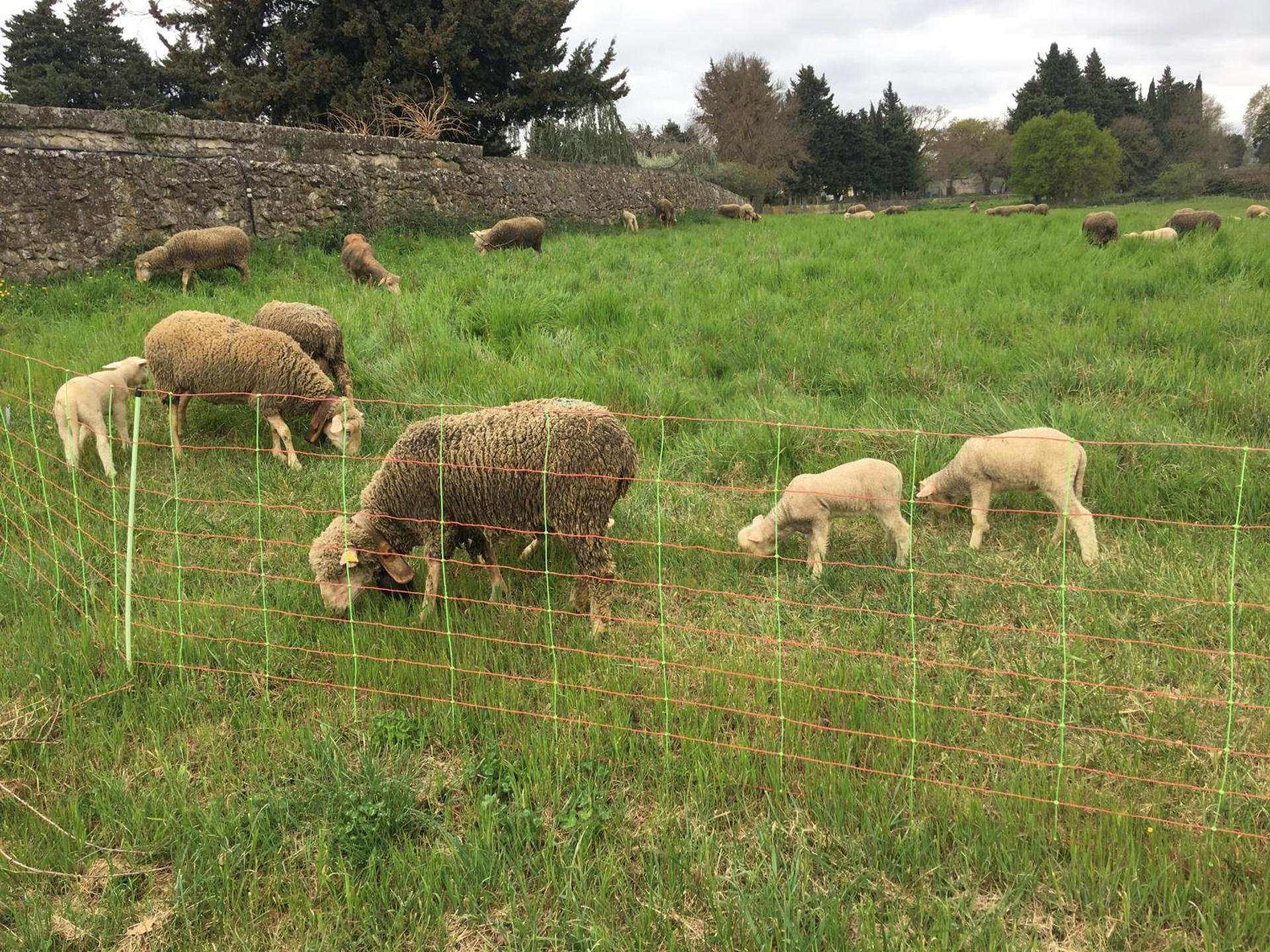Le Studio d Aurélie avec SPA été en pleine campagne et proche de toute commodité