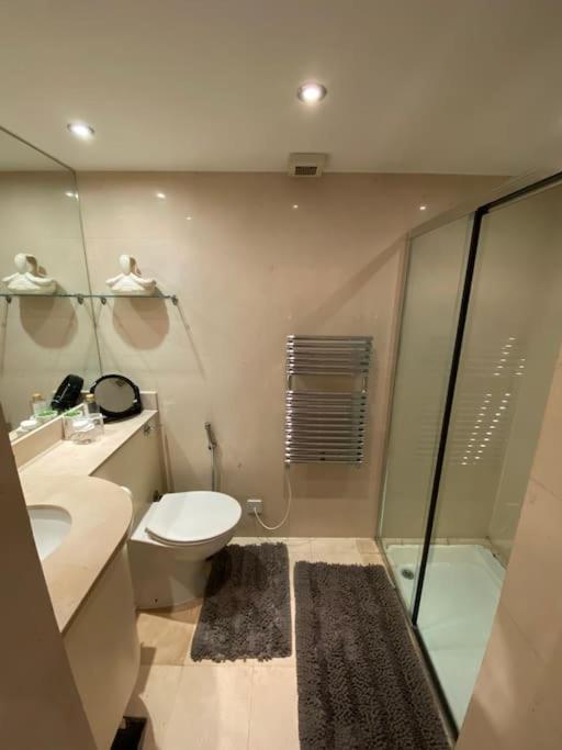 Spacious flat in the most desirable area of London