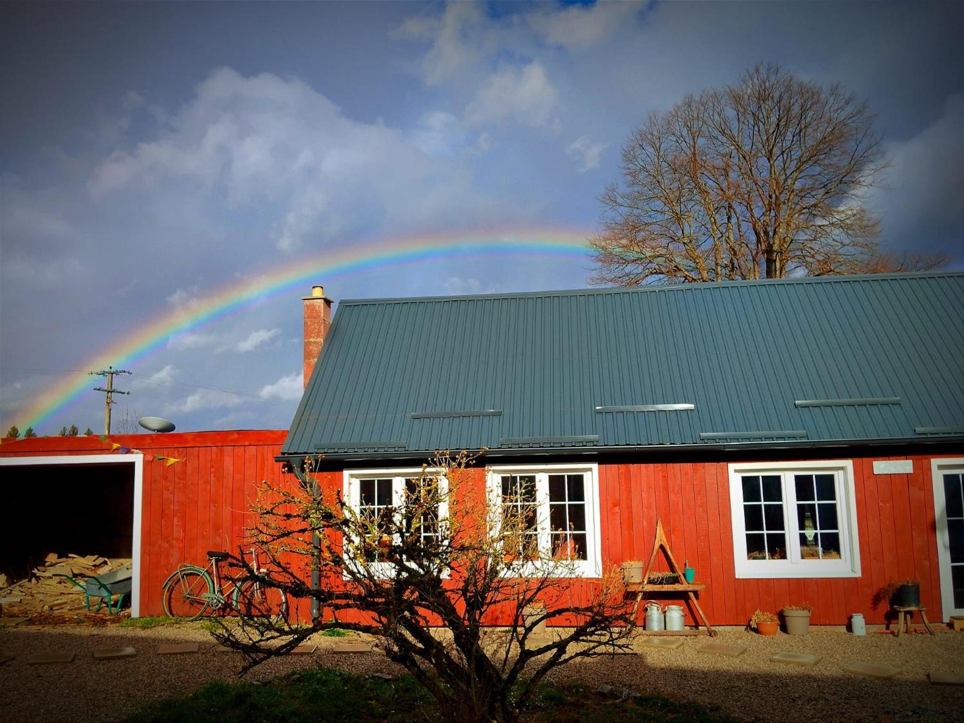 Three Little Birds Suite