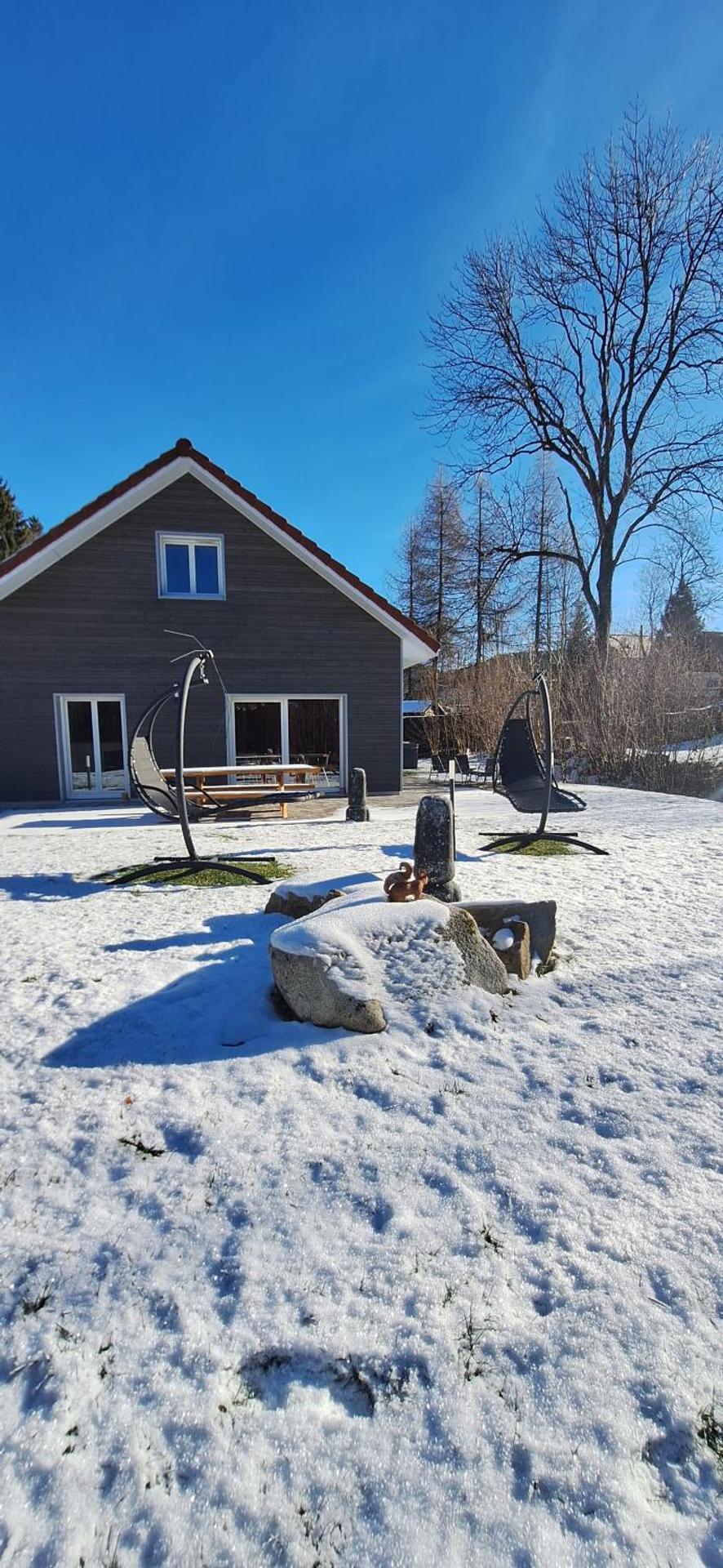 La cabane des écureuils