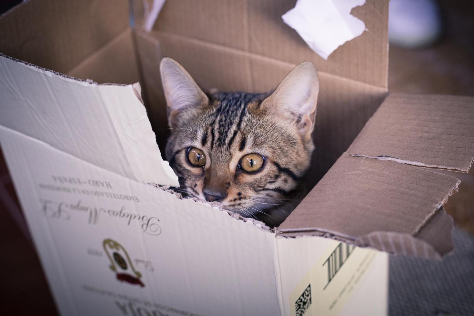 VILLA CHETRUS Casa en plena naturaleza