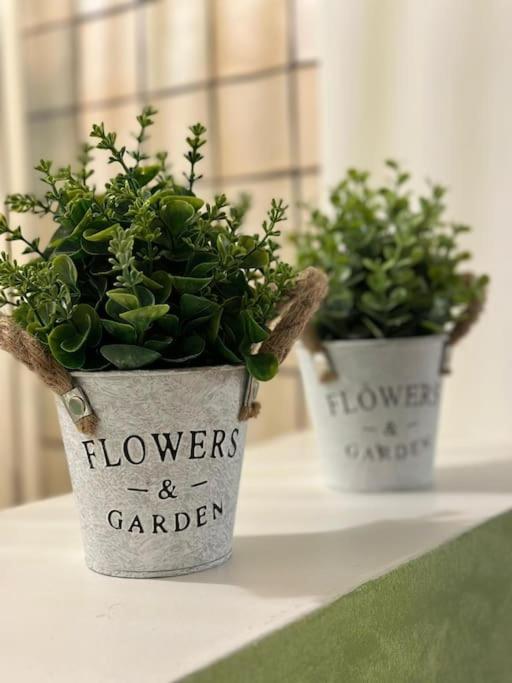 Lilla' House Center Palermo