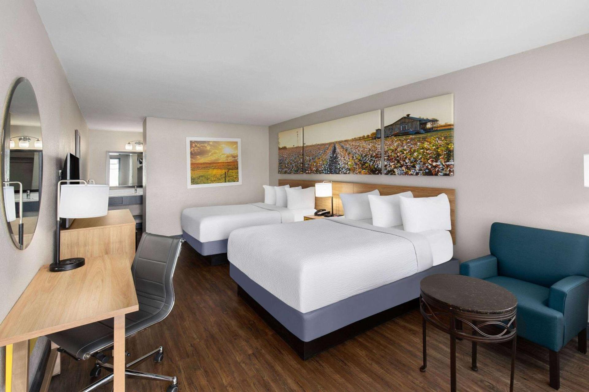 Photo of the whole room