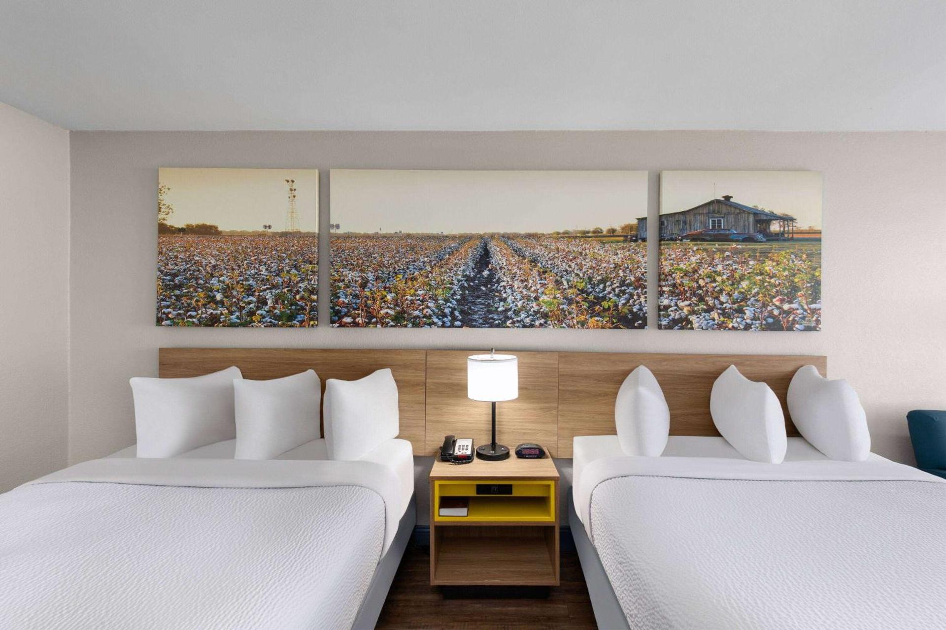 Photo of the whole room