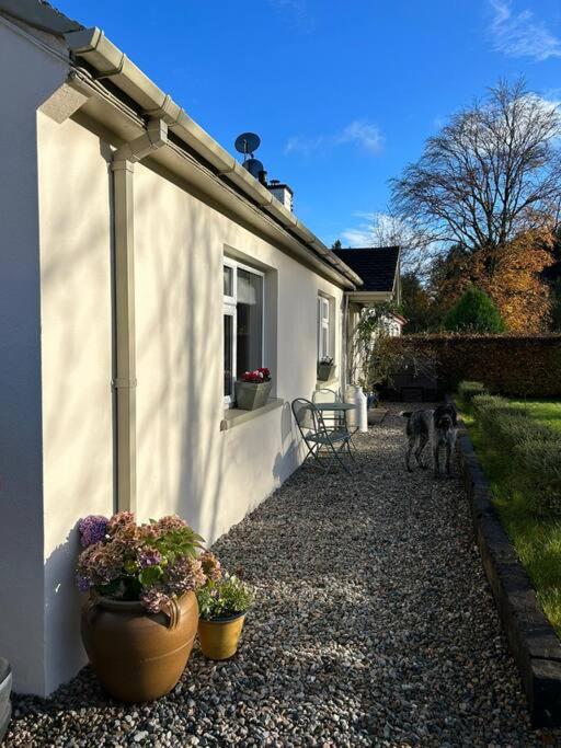 Favour Royal Cottage - dog friendly forest escape
