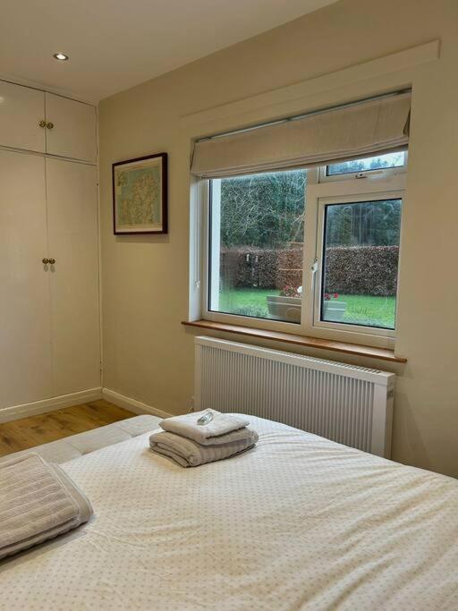 Favour Royal Cottage - dog friendly forest escape