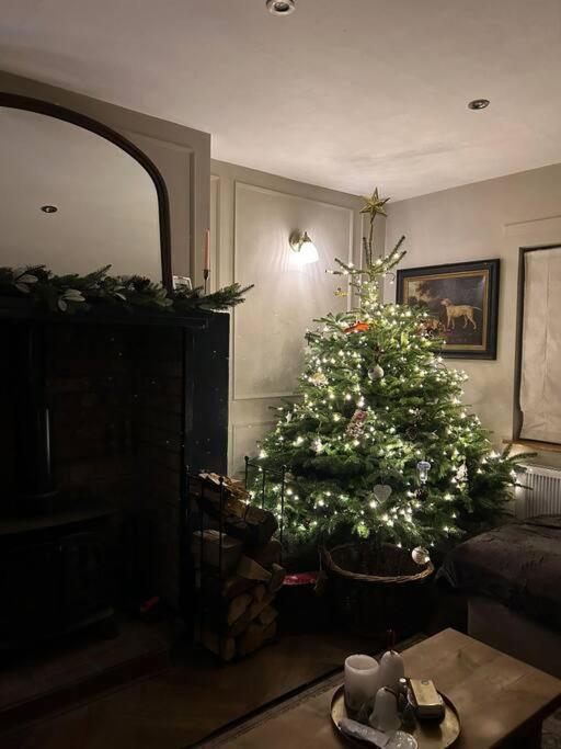 Favour Royal Cottage - dog friendly forest escape