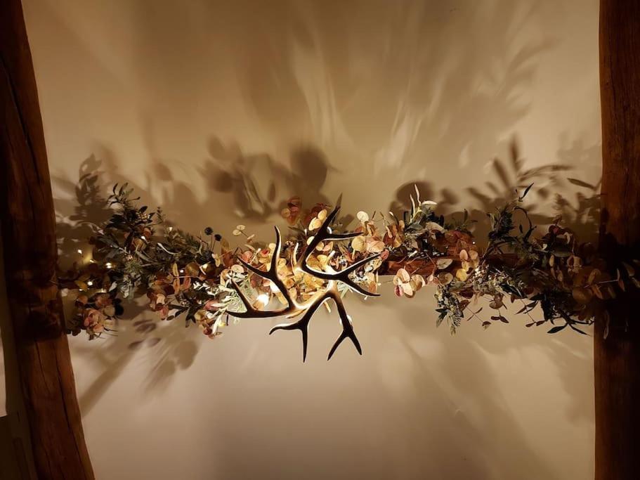 Woodys Retreat Cosy One Bed Cottage