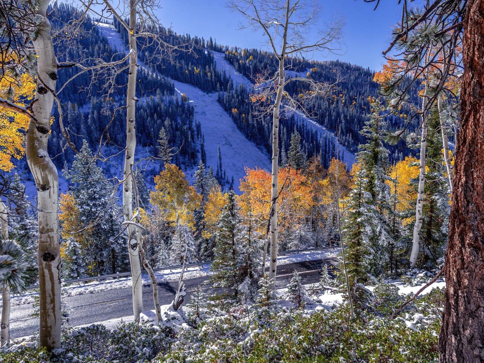 DeLano Motel & RV Park Beaver
