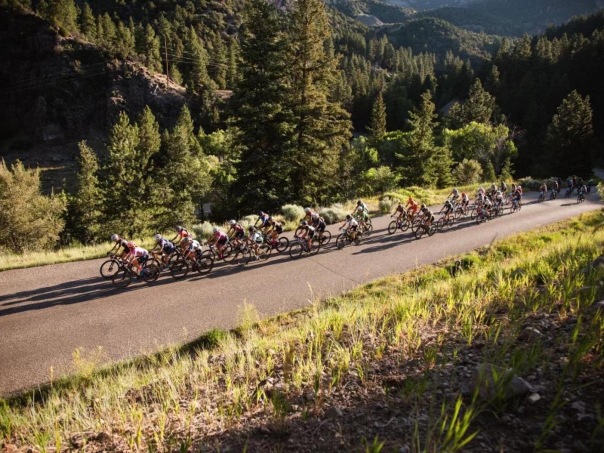 DeLano Motel & RV Park Beaver