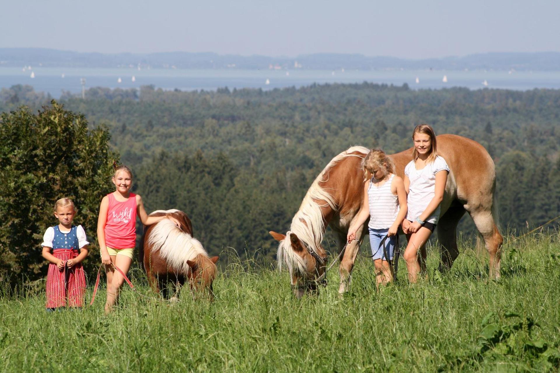 Cafe Wastelbauerhof - Urlaub auf dem Bauernhof