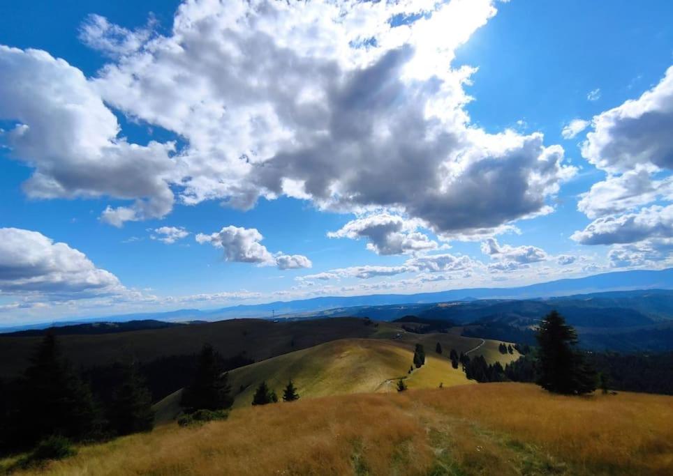 Arboretum Guesthouse