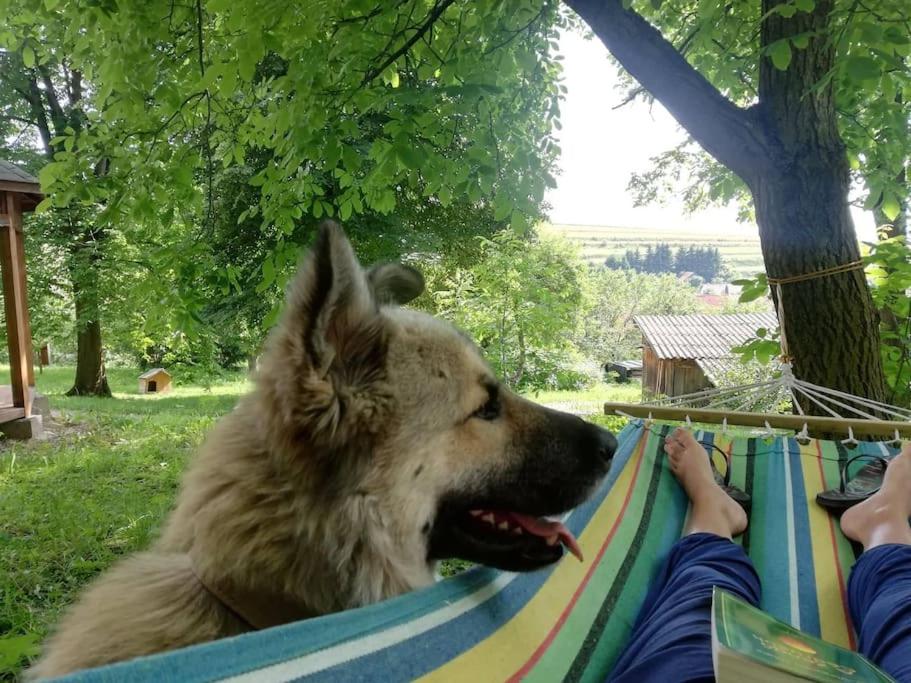 Arboretum Guesthouse