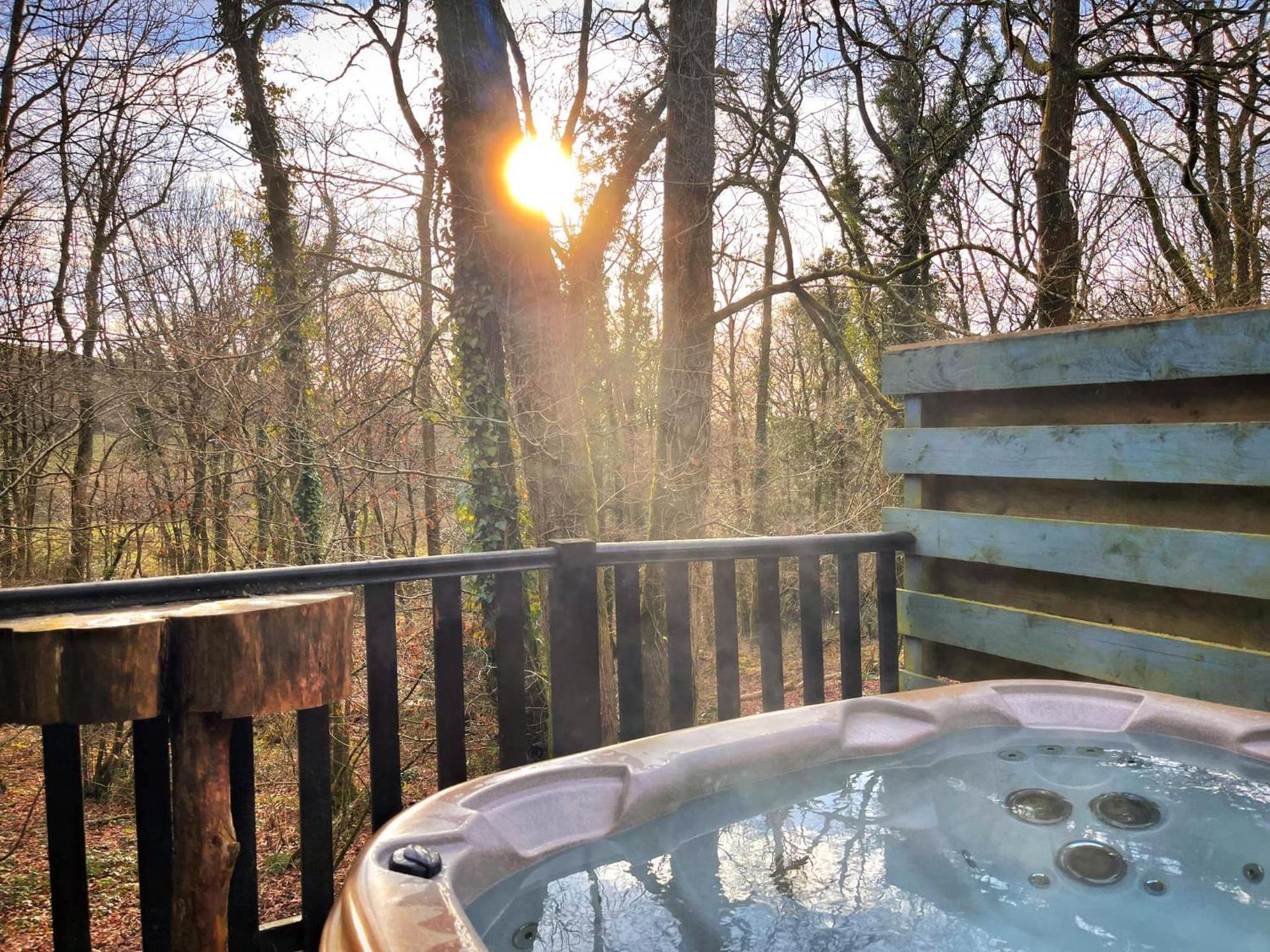 Goldcrest 1-Hot Tub-Woodland Lodges-Carmarthenshire-Tenby
