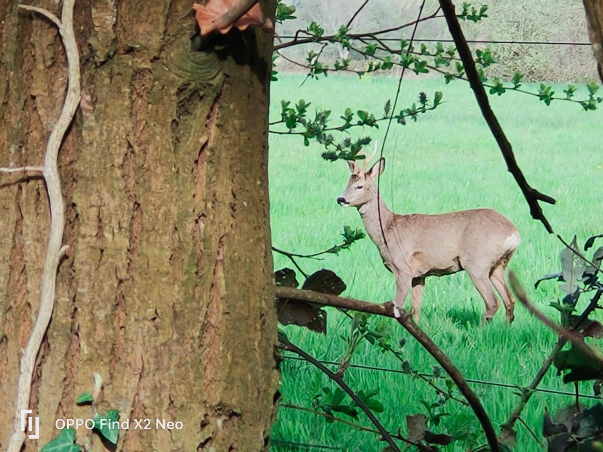 Domaine du Manoir de Vains