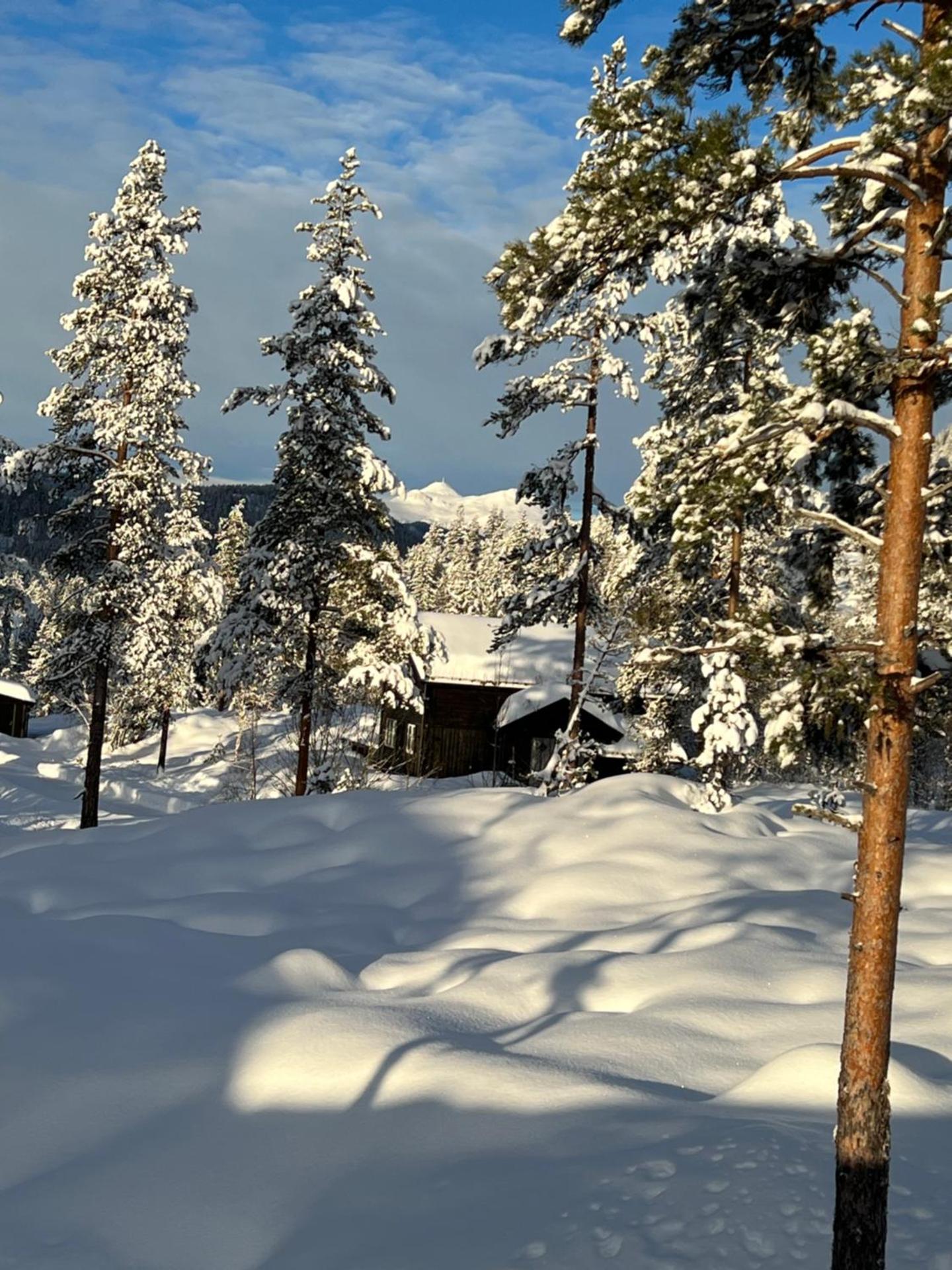 Storekleiv Hyttefelt Tuddal