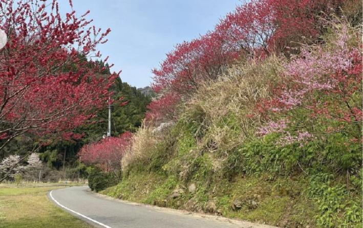 ゲストハウスMizu no Oto