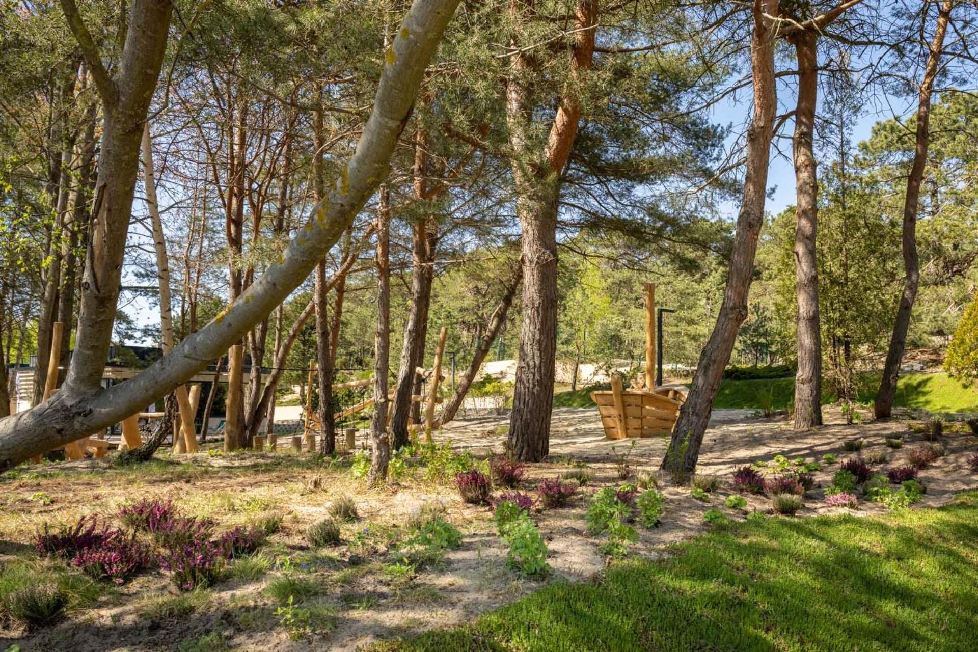 Children play ground