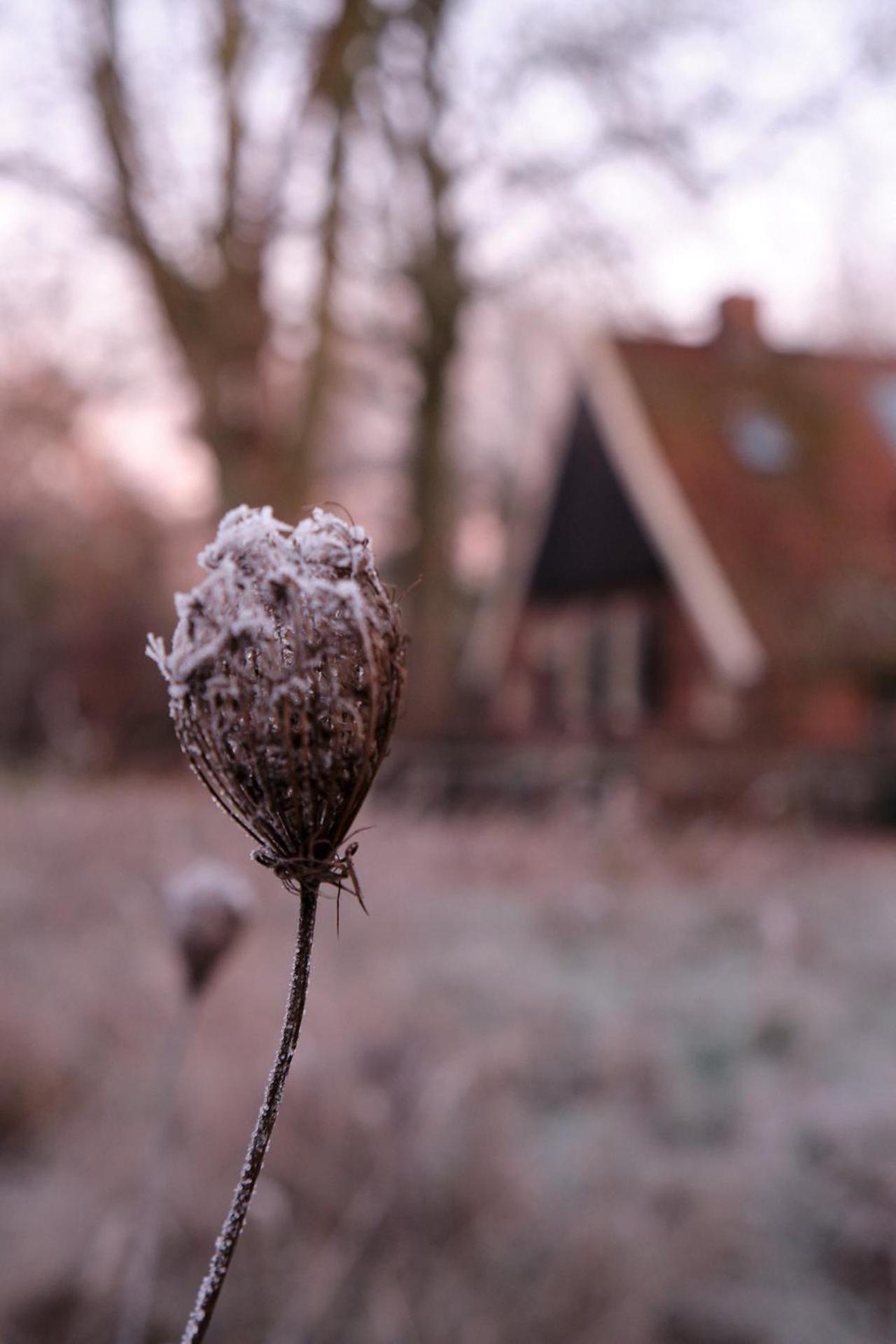 LooSan Lodges Gastenhuis
