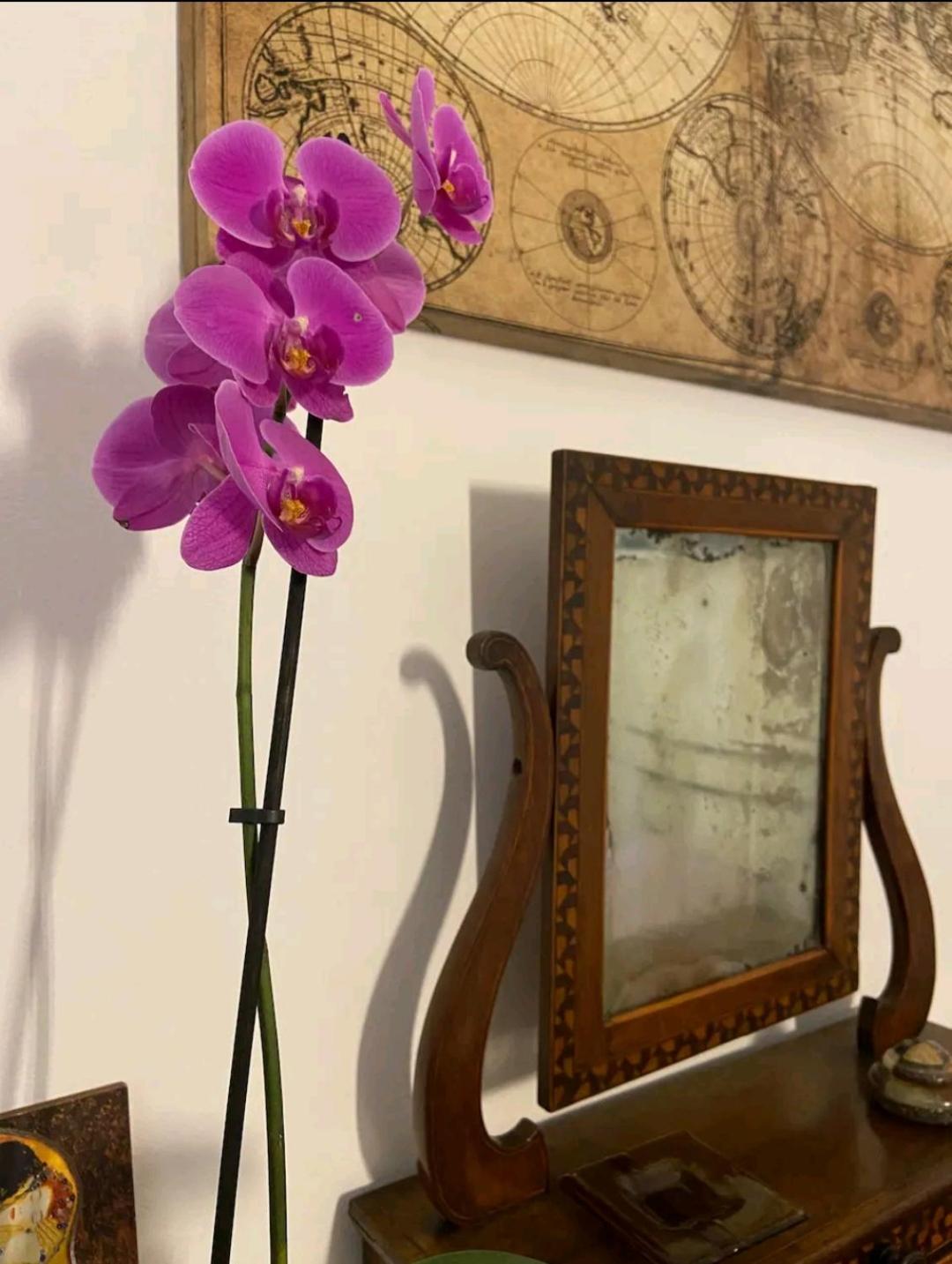 Cozy home in the city centre